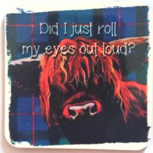 Did I just roll my eyes out loud?