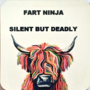 Fart Ninja