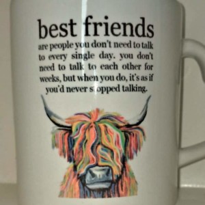 Best friends mug