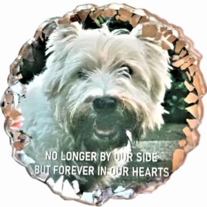 Pet Memorial Coaster